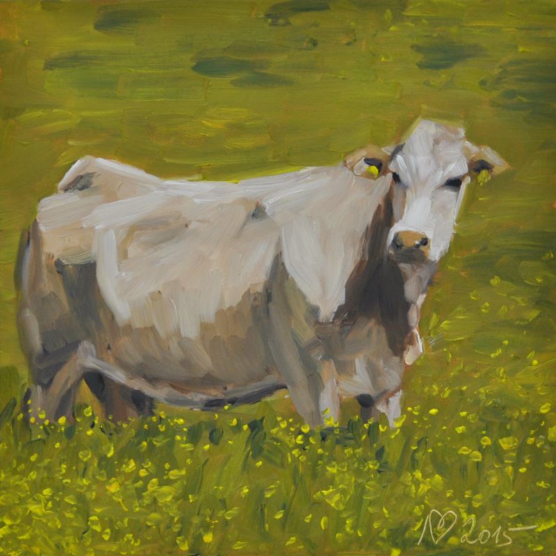 cow02